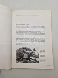 Helge Hagemann

UNDER TVANG

Minerydningen ved den jyske vestkyst 1945
