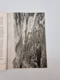 Originalt Waffen SS hæfte - ww2