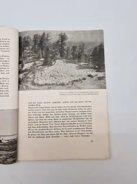 Originalt Waffen SS hæfte - ww2