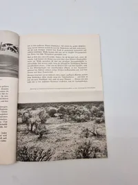 Originalt Waffen SS hæfte - ww2