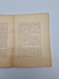 Original DNSAP pjece - ww2