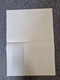 DNSAP plakat - Genoptryk