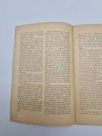Original DNSAP pjece - ww2
