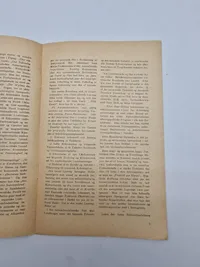Original DNSAP pjece - ww2