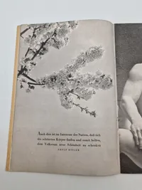 Originalt Waffen-SS hæfte - ww2