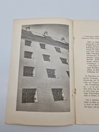 Original DNSAP pjece - ww2