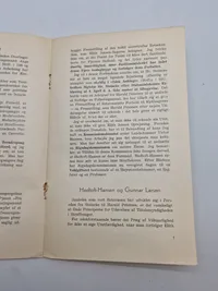 Original DNSAP pjece - ww2
