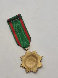 Original Verdienstauszeichnung für Ostvölker in Gold
