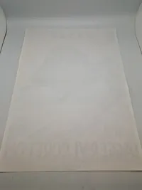 DNSAP plakat - Genoptryk