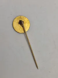 Royal pin samt pin fra national komiteen