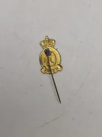Diverse pins, bla fra genforeningen