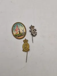 Diverse pins, bla fra genforeningen