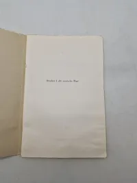 Originalt DNSAP hæfte - ww2