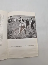 Originalt DNSAP hæfte - ww2