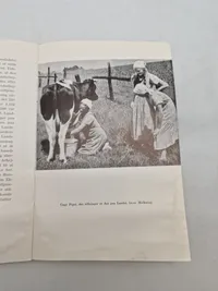 Originalt DNSAP hæfte - ww2