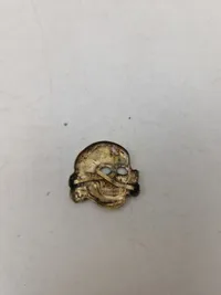 Tysk W-SS Totenkopf - Efterkrigs