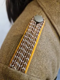 Sjælden original SA jakke med armbind for Oberscharführer (Blå collar tabs for Hessen) shoulder boards mm har stadig RZM tags siddende