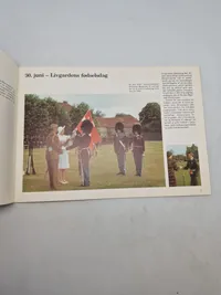 Den kongelige livgarde