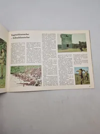 Den kongelige livgarde