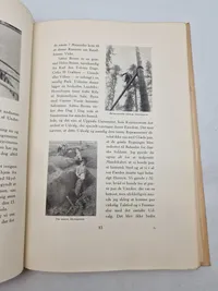 Den danske brigade