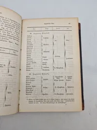 Statistisk-topographisk Beskrivelse
Hertugdømmet  Slesvig (1864)