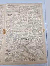 To stk originale eks af avisen “Revision” som var kendt for at hjælpe tidligere frikorps folk