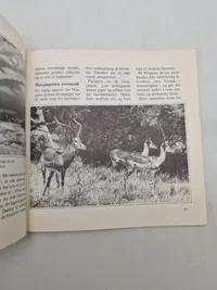 Partisan i 2.verdenskrig