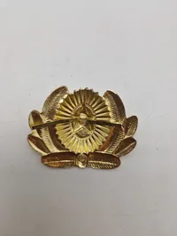 Samling danske regimentsmærker og et russisk kasket mærke
