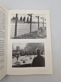 Under hagekors og dannebrog
