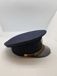 Original Dansk politikasket