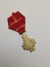 Original Dansk  Medalje 16 År i hæren