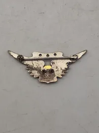 Original USN U.S. Navy  - Naval/Marine Combat Aircrew - WWII (Sterlingsølv)
