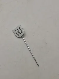 Original SS veteran pin