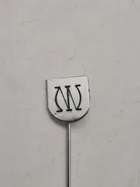 Original SS veteran pin