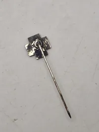 Original SS veteran pin