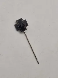 Original SS veteran pin