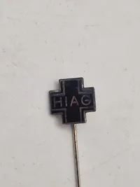 Original SS veteran pin
