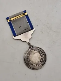Silver lifesaving medal