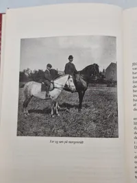 Mit fædrene land. En tysk families historie