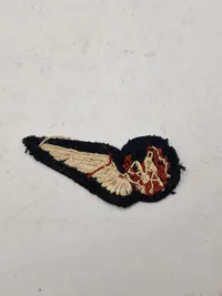 Original WW2 Period Padded Navigator Brevet Badge
