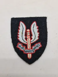 Originalt SAS lot