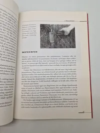 Under tvang - minerydningen ved den jyske vestkyst 1945