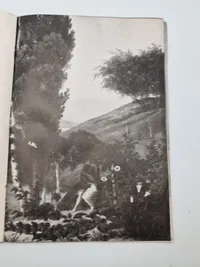 Originalt eks. af Germanske Budstikke - Waffen-SS