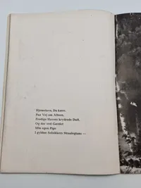 Originalt eks. af Germanske Budstikke - Waffen-SS