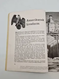 Originalt eks. af Germanske Budstikke - Waffen SS
