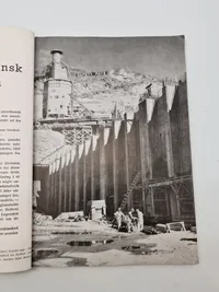 Originalt eks. af Germanske Budstikke - Waffen SS