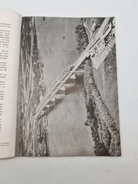 Originalt eks. af Germanske Budstikke - Waffen SS