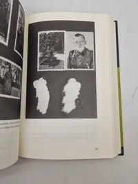 Under hagekors og dannebrog
