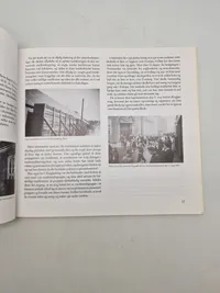Fem lange år