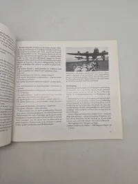Luftkrig over Danmark